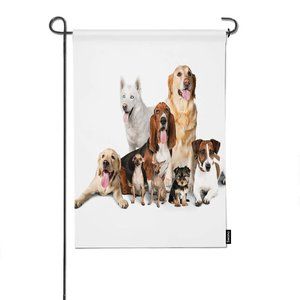 SKU-22-12__x18__ multi-573